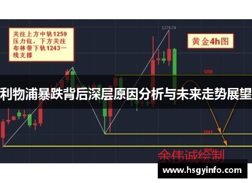 利物浦暴跌背后深层原因分析与未来走势展望