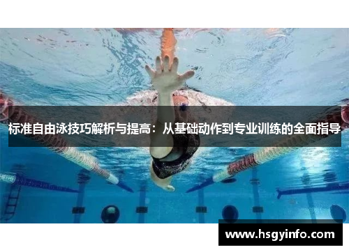 标准自由泳技巧解析与提高：从基础动作到专业训练的全面指导